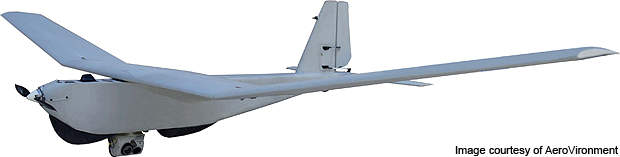 knoflook Oeps Bank Avinc Puma AE Unmanned Aerial Vehicle - Airforce Technology