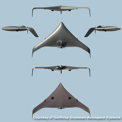 Bat Unmanned Aerial Vehicle (UAV) - Airforce Technology