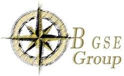 B GSE Group